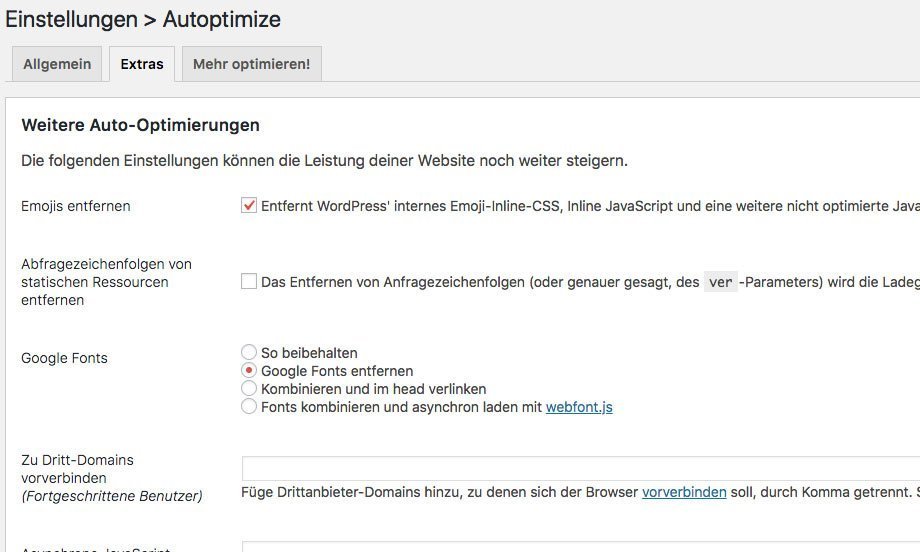 Einstellungsseite des WordPress-Plugins Autoptimize mit der ausgewählten Option Google Fonts entfernen